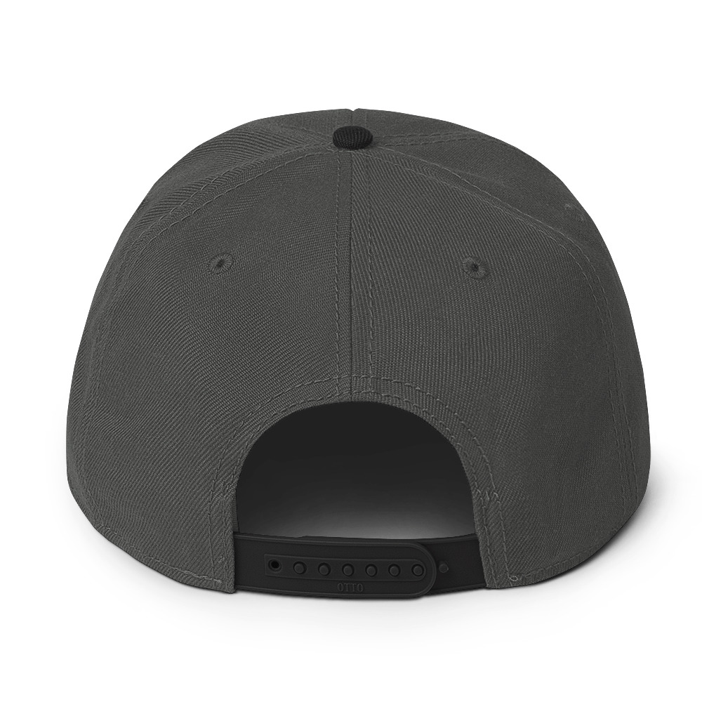 Snapback Hat - Image 18