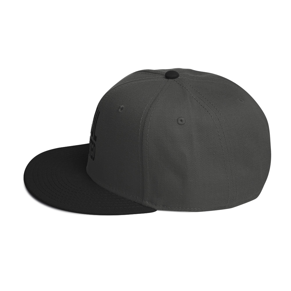 Snapback Hat - Image 19