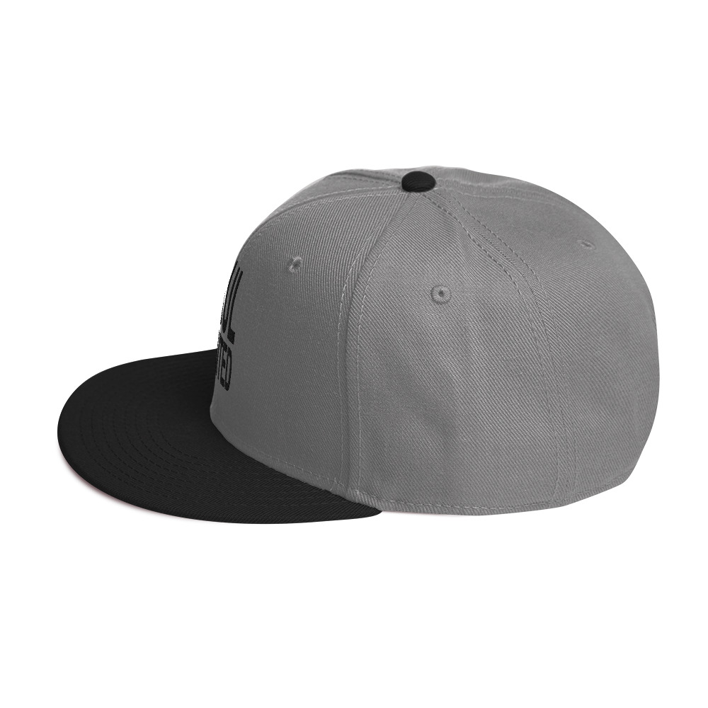 Snapback Hat - Image 31
