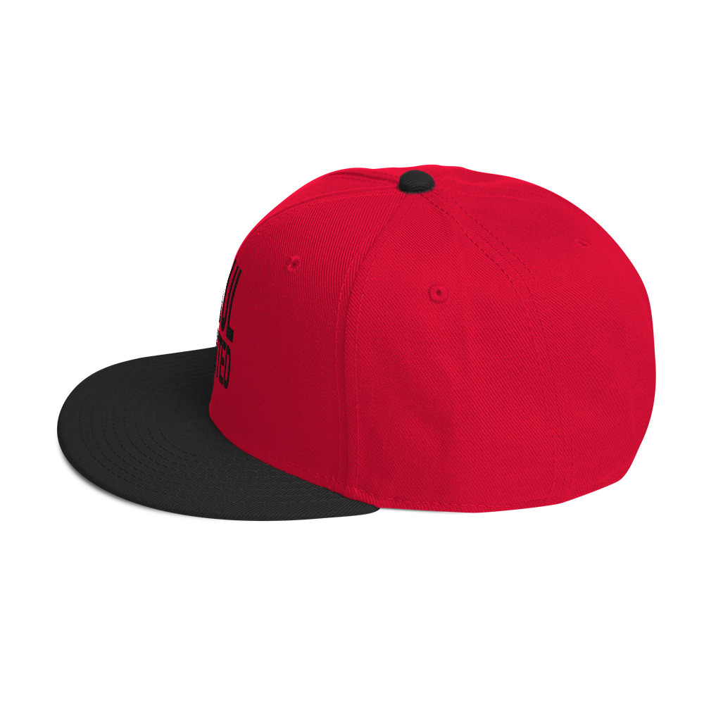 Snapback Hat - Image 11