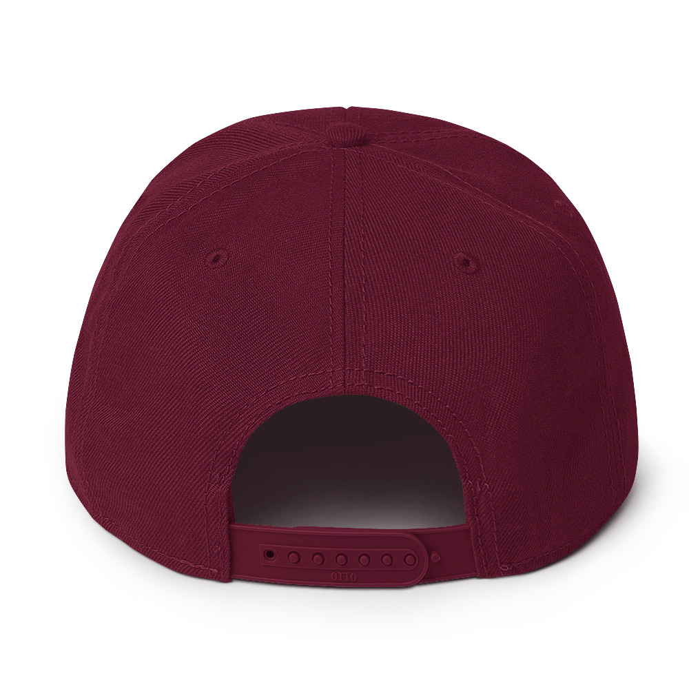 Snapback Hat - Image 2