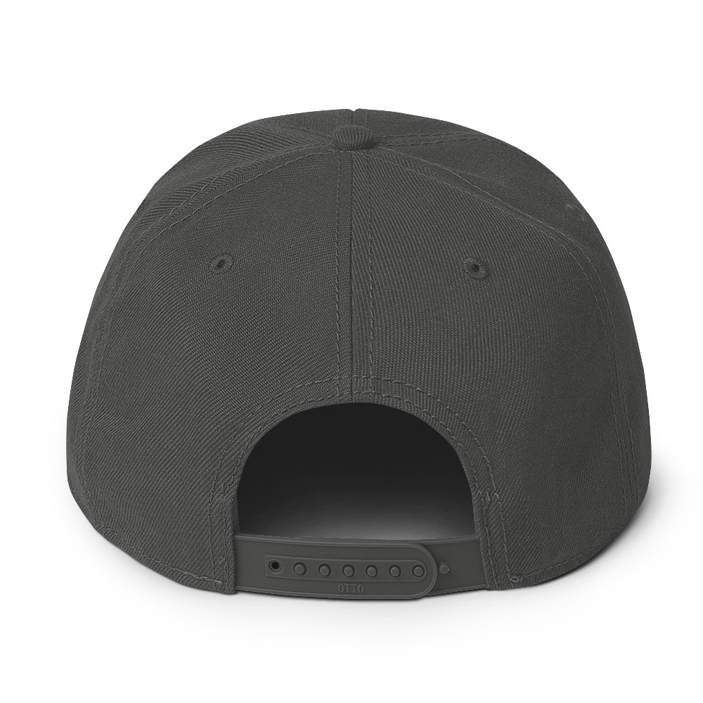 Snapback Hat - Image 22