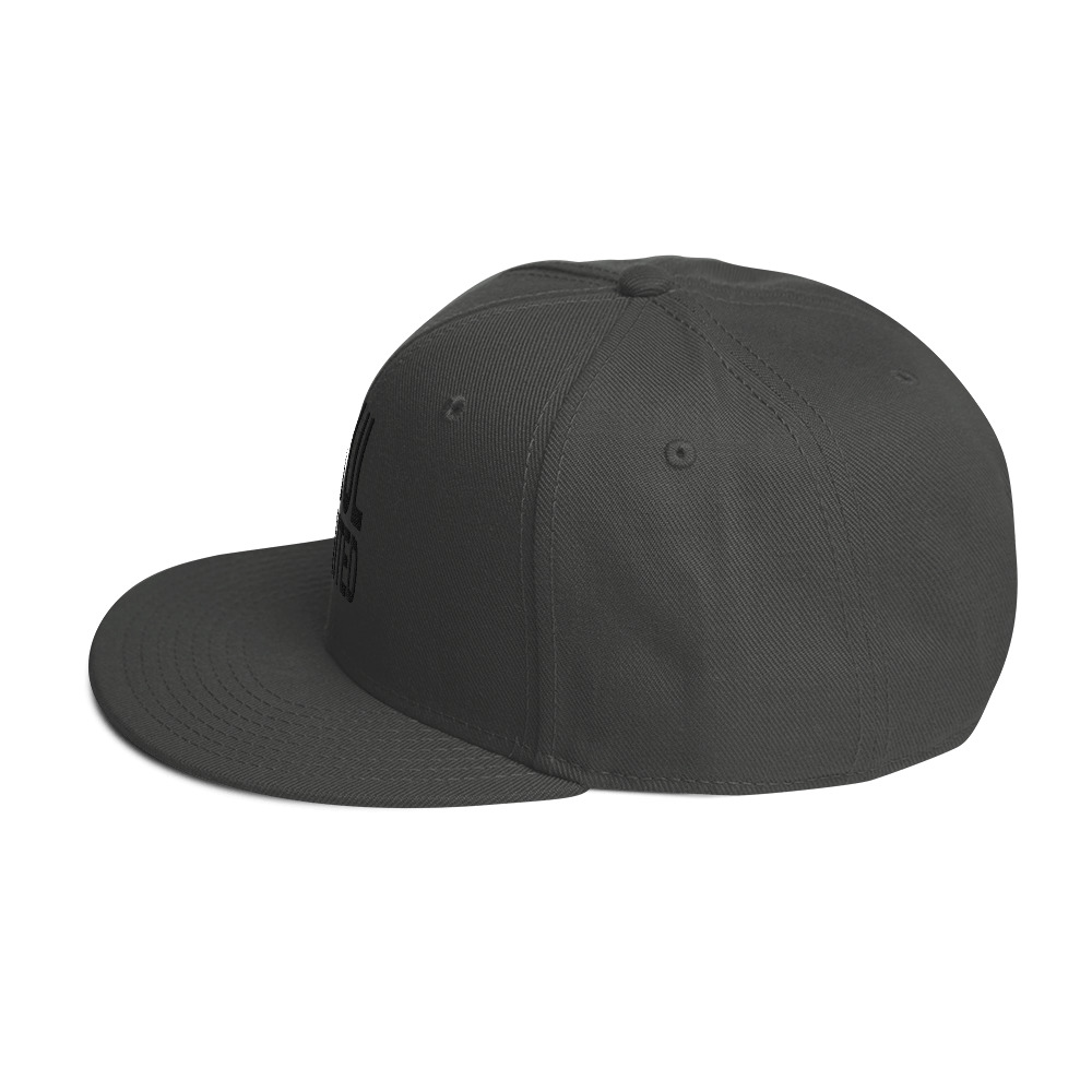 Snapback Hat - Image 23