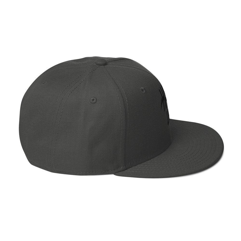 Snapback Hat - Image 24