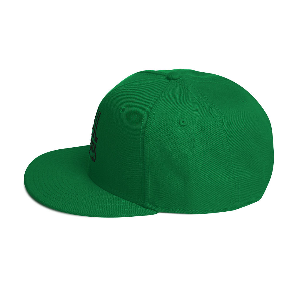 Snapback Hat - Image 27
