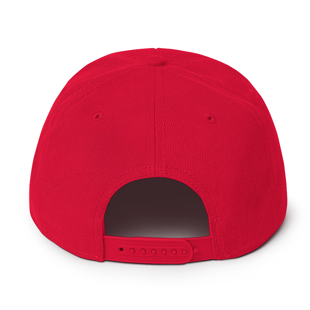 Snapback Hat - Image 14