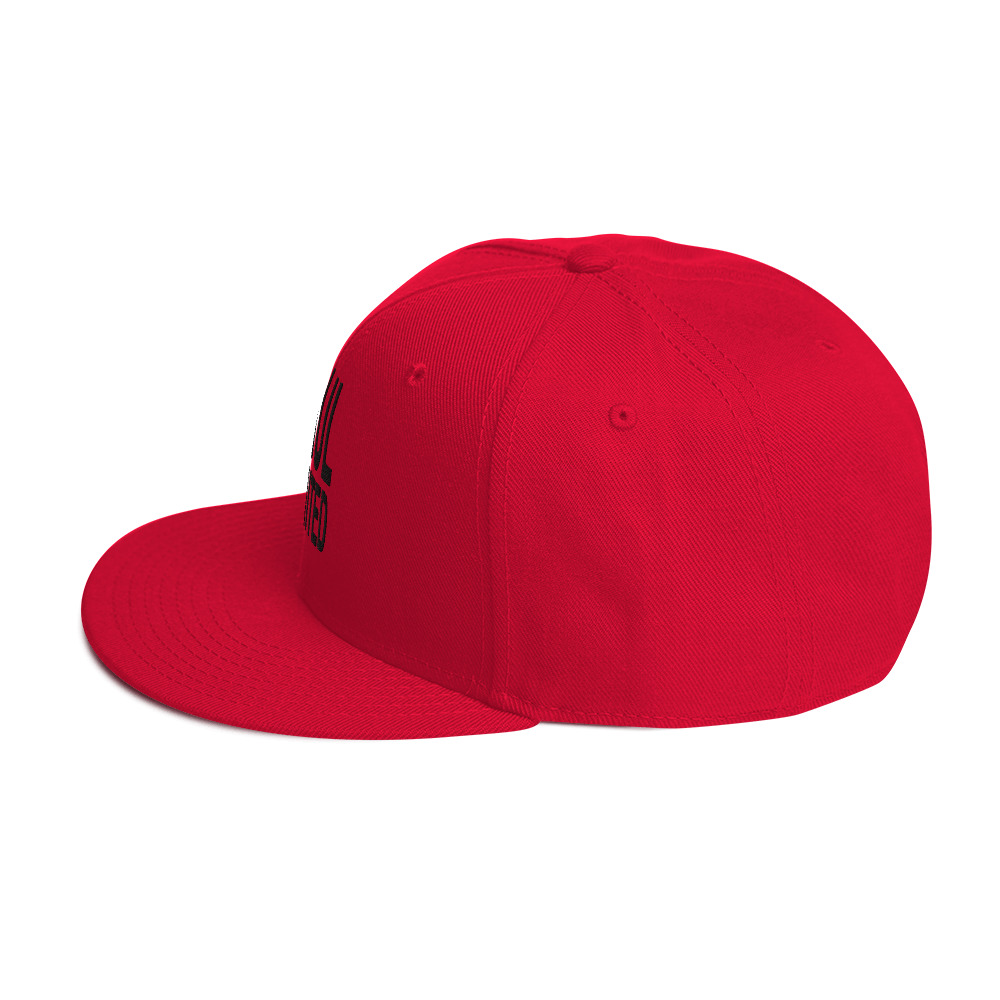 Snapback Hat - Image 15