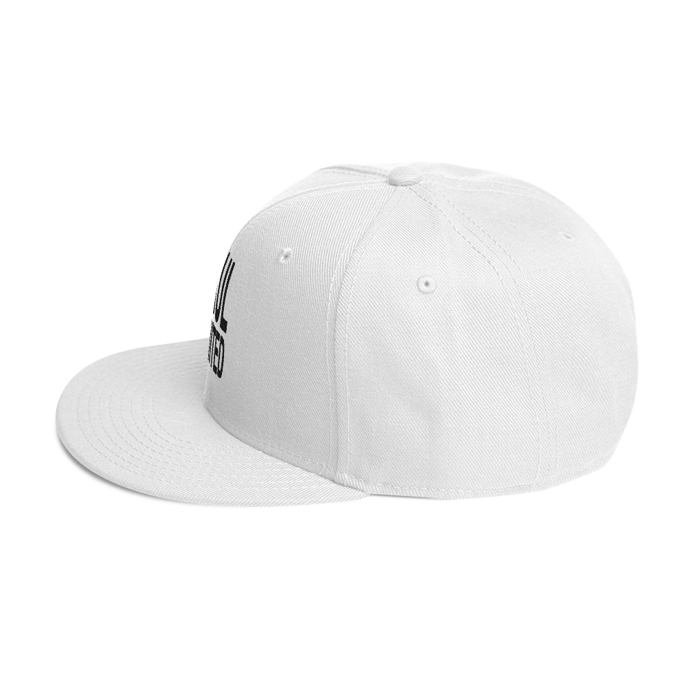 Snapback Hat - Image 39
