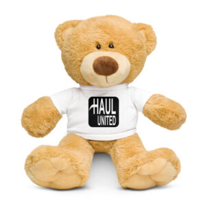 Teddy bear with a t-shirt